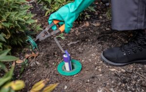 Sentricon Termite Control