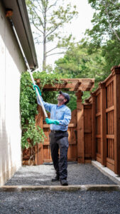 perimeter pest control