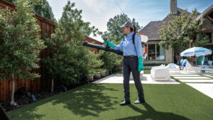 Professional Mosquito Control