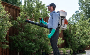 Mosquito Control Florida
